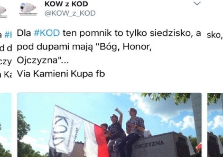 Protest pod Sejmem w komentarzach. Wojciech Wybranowski: "Mogliby odtwarzać z playbacku"