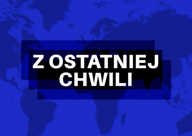 TSUE chce, by ekologiści mieli wpływ poprzez sądy na gospodarkę leśną. Jest odpowiedź polskiego rządu