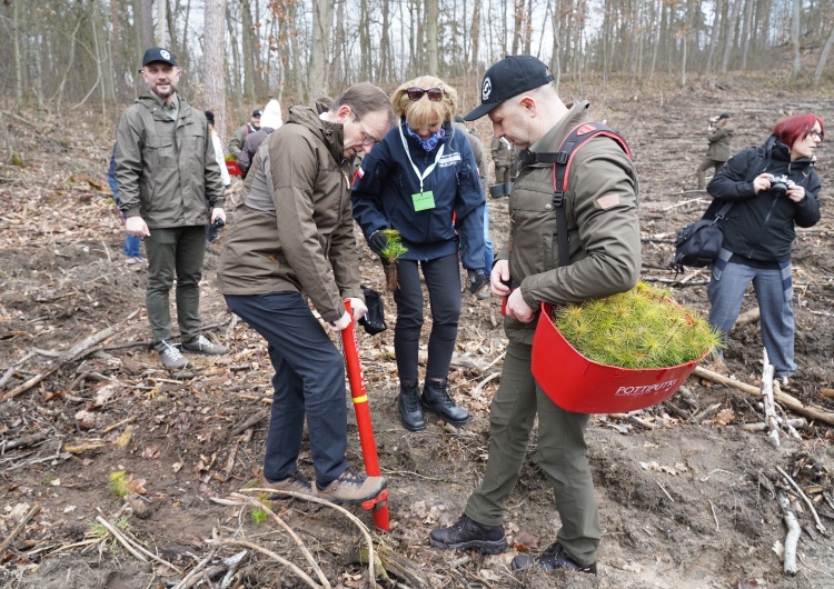 Rusza trzecia edycja akcji „Łączą nas Drzewa”. „Przyroda to nasze dobro narodowe”