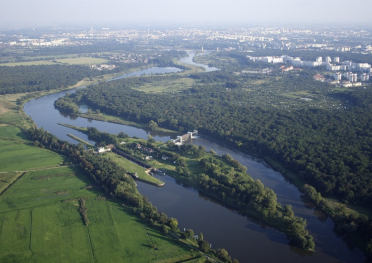 Odra