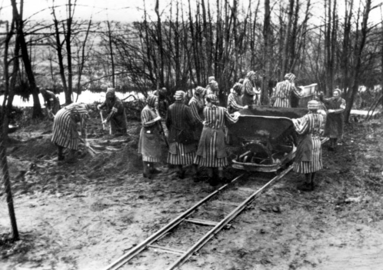 Więźniarki z KL Ravensbrück By ocalić pamięć o Ravensbrück i wypełnić obozowy ślub - pielgrzymka na Jasną Górę