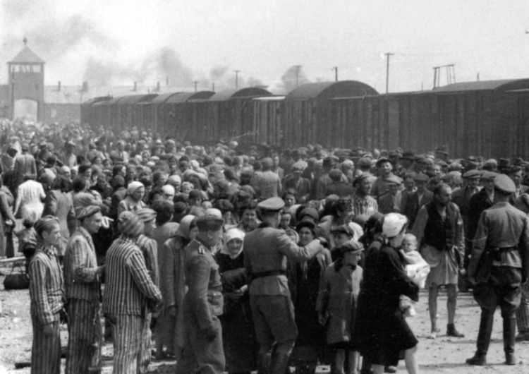 Rampa w obozie Birkenau „Polska była ofiarą metaforycznie”. Burza w sieci po skandalicznym wpisie posła Lewicy