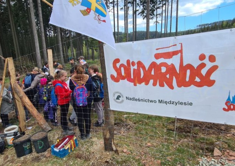 Akcja sadzenia lasu Posadzili las dla przyszłych pokoleń