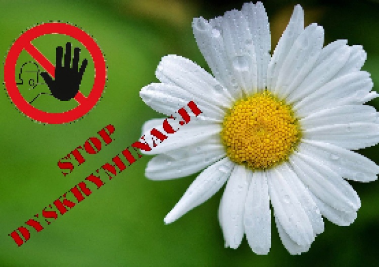 Plakat akcji poparcia Organizacji Związkowej w Stokrotce Dziś pikieta poparcia Organizacji Związkowej NSZZ