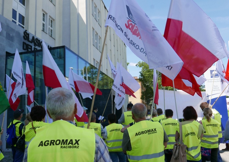 Protest pracowników Agromax. Największej fermie bydła mlecznego na Śląsku grozi likwidacja