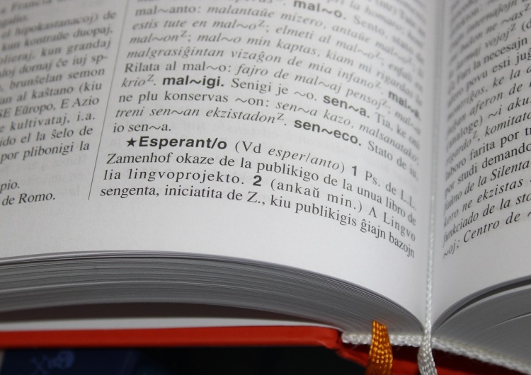Słownik esperanto Polska dostaje największą bibliotekę esperanto