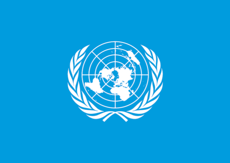 Flaga ONZ Papież nominował dziś Stałego Obserwatora Stolicy Apostolskiej przy instytucjach ONZ