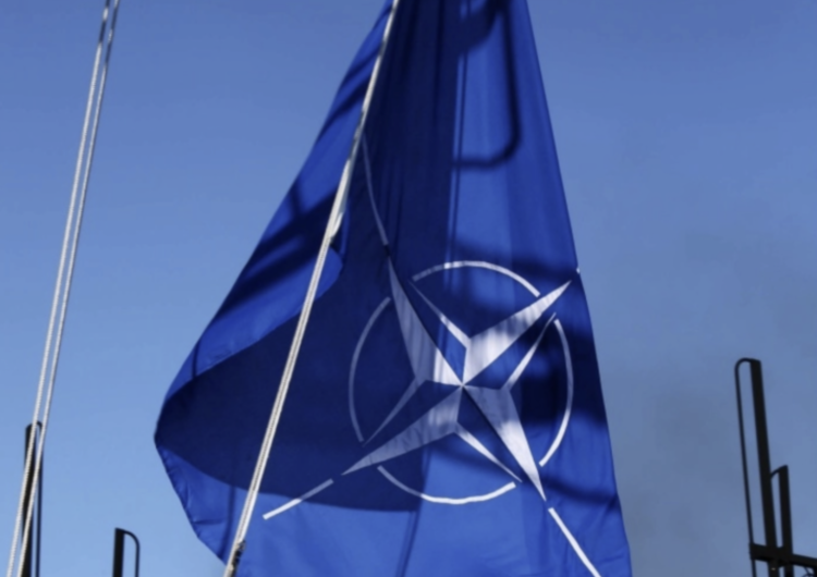 NATO Ukraina szybciej w NATO? Nowa propozycja z Wielkiej Brytanii