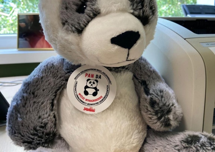 Maskotka akcji PanDa w Powiatowym Urzędzie Pracy w Nowej Soli PanDa. Zielonogórska 