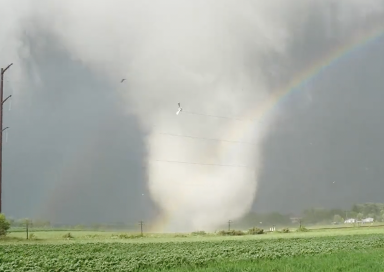 tornado Liczne burze i tornada pustoszą USA. Są nagrania [WIDEO]