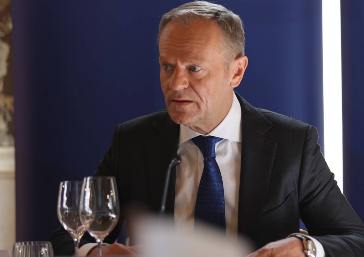 Donald Tusk Zbigniew Kuźmiuk: Tusk opowiada o tym, jak to nie chciał prywatyzować lasów. A jak było naprawdę?