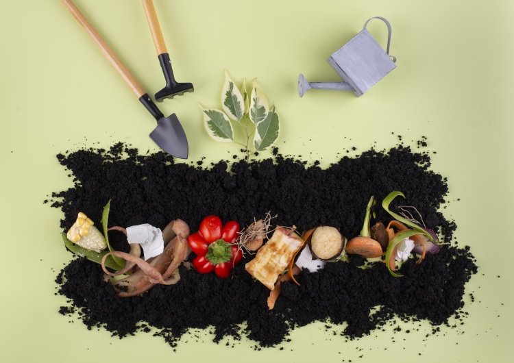Kompost. Ilustracja poglądowa Co to jest kompost – jak go robić i jak stosować