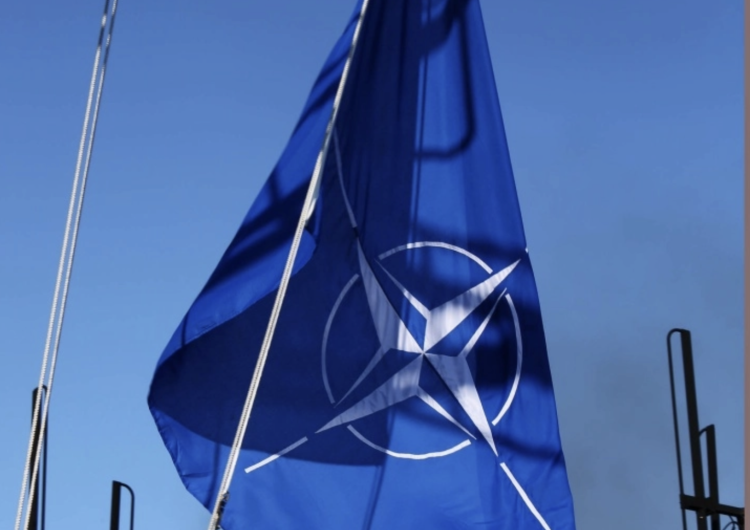 NATO Części rosyjskiego drona spadły na terytorium Rumuni. NATO zabiera głos
