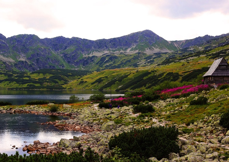 Tatrzański Park Narodowy Przewodnicząca Sekcji Parków Narodowych NSZZ „S”: Marginalizuje się rolę parków narodowych i ich pracowników