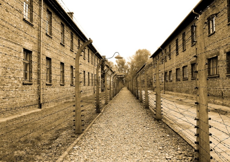 Auschwitz Jerzy Klistała, syn Więźnia Auschwitz: Dorabianie zasług