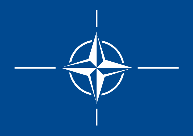 NATO złożyło Polsce życzenia z okazji Święta Niepodległości. A za nim setki internautów z całego świata