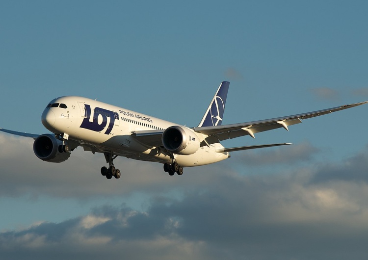 Boeing Dreamliner. Ilustracja poglądowa Ekspert: Na upadku CPK najbardziej zyskaliby Niemcy