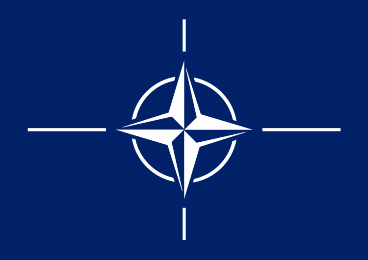 NATO. Logo Nowy, zaskakujący kandydat na fotel sekretarza generalnego NATO