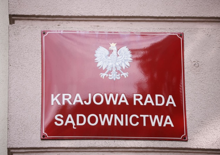 Zdjęcie ilustracyjne Szokująca sytuacja na posiedzeniu KRS: Poseł wezwała policję