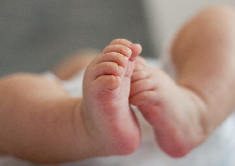 Dziecko / zdjęcie poglądowe 19-latka urodziła w lesie. Prokuratura wszczęła dochodzenie