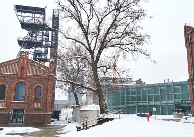 Muzeum Śląskie Porozumienie w Muzeum Śląskim. Są pieniądze na podwyżki