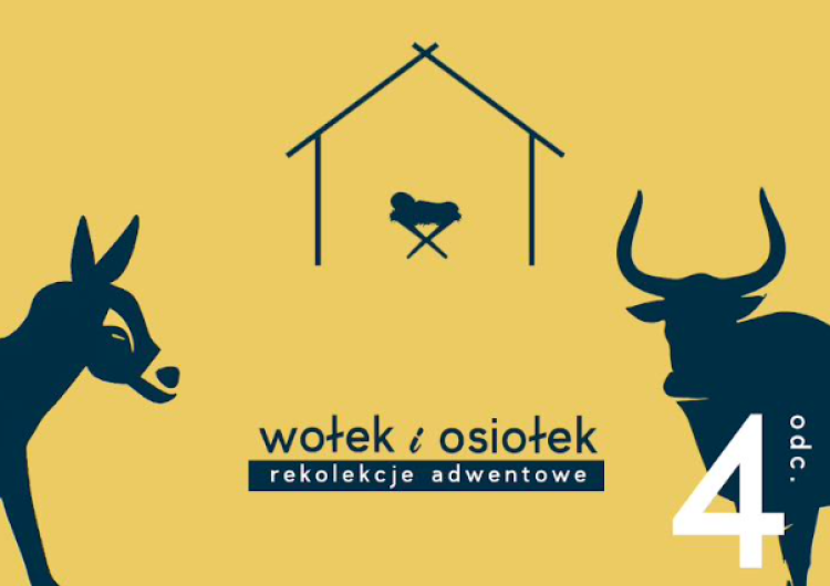 logo rekolekcji [Nasz Patronat] Rekolekcje Adwentowe 2023 – Wołek i Osiołek – Odcinek 4