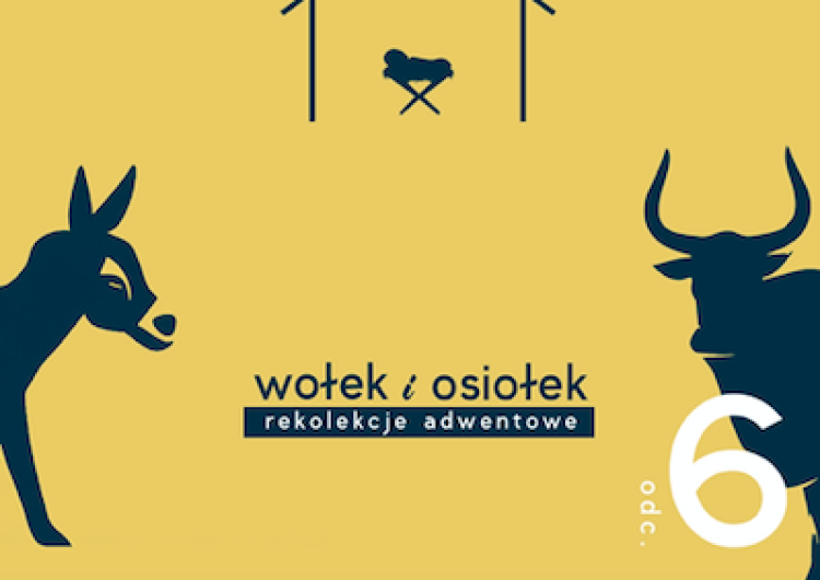 logo rekolekcji [Nasz Patronat] Rekolekcje Adwentowe 2023 – Wołek i Osiołek – Odcinek 6