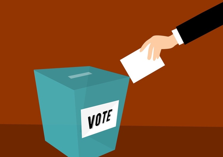 Głosowanie / zdjęcie poglądowe  Ryszard Czarnecki: Wyborczy rok 2024