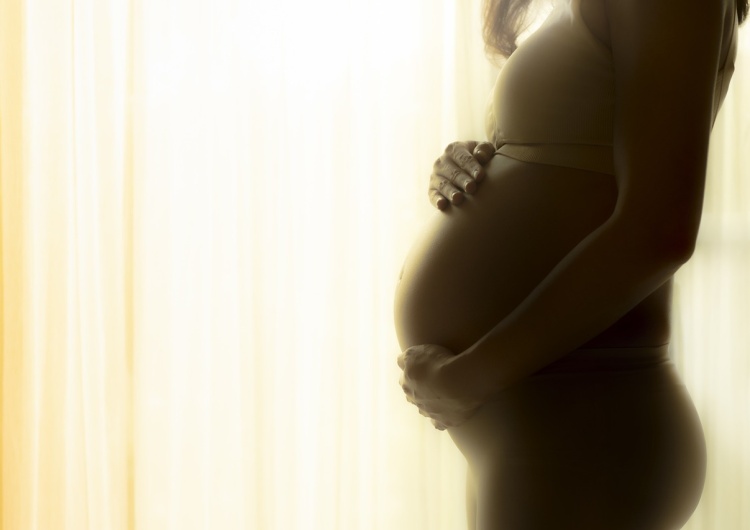 zdjęcie poglądowe Psy traktowane lepiej niż matki surogatki? Urodzeni z surogacji poprosili Papieża o interwencję