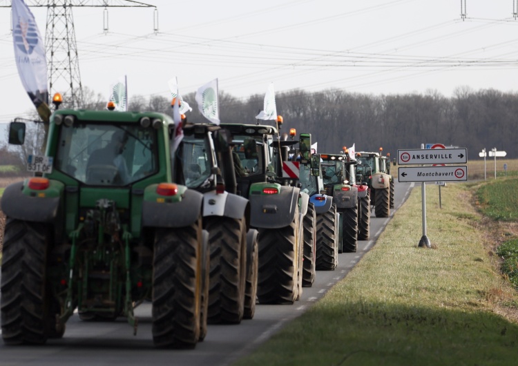 zdjęcie poglądowe Włochy: Rolnicy protestują przeciwko polityce rolnej Unii Europejskiej