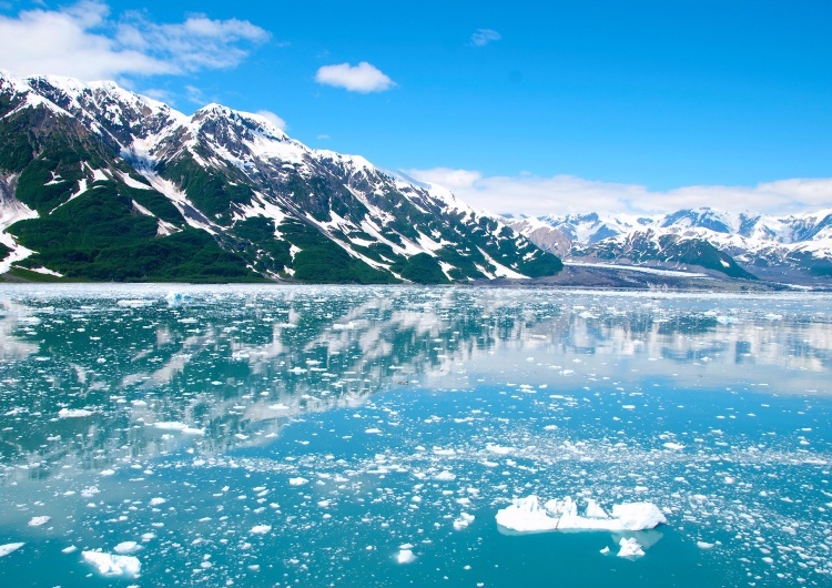 Alaska USA: Zmarła pierwsza osoba zarażona niedawno odkrytym wirusem Alaskapox