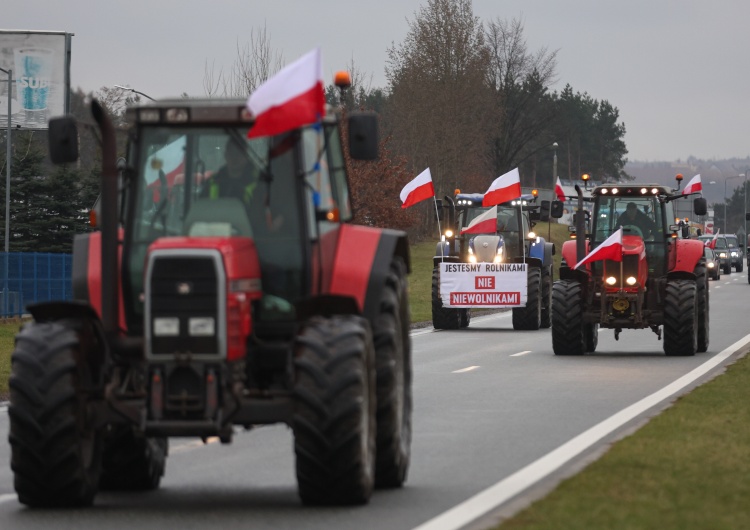 protest rolników Marcin Bąk: Obrona rolnictwa obroną Europy