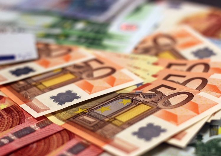 Euro - zdjęcie poglądowe Mariusz Staniszewski: Słony rachunek za KPO