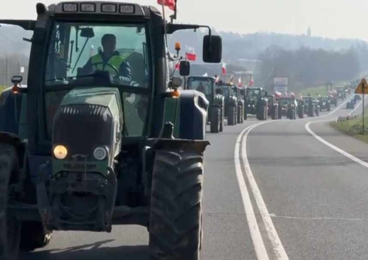 protest rolników Jak protesty rolników obnażyły słabość unijnych instytucji? 