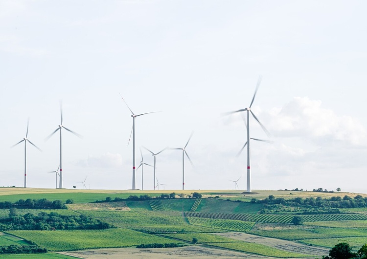 Wiatraki w Niemczech Koniec niemieckiego kryzysu energetycznego? Niezupełnie