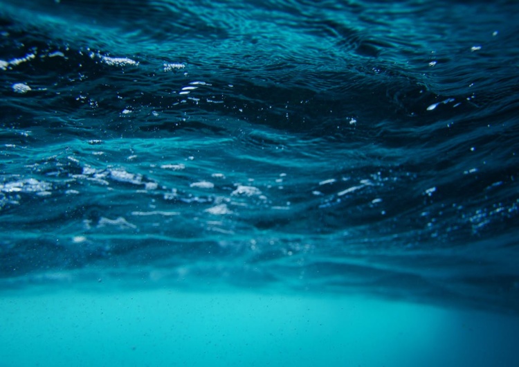 głębia morza  Cokolwiek się tam zapuści, zginie - naukowcy odkryli 