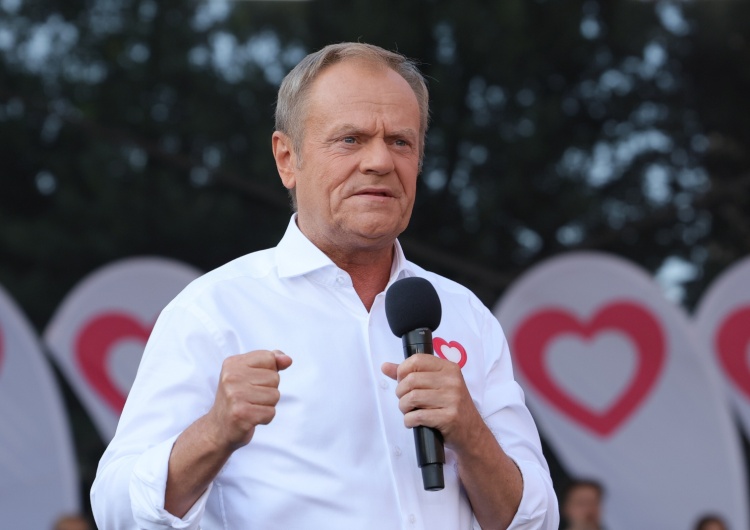 Donald Tusk Samuel Pereira: Donald codziennie wściekły