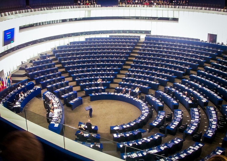 Parlament Europejski Jak wygląda podział sił w Parlamencie Europejskim?
