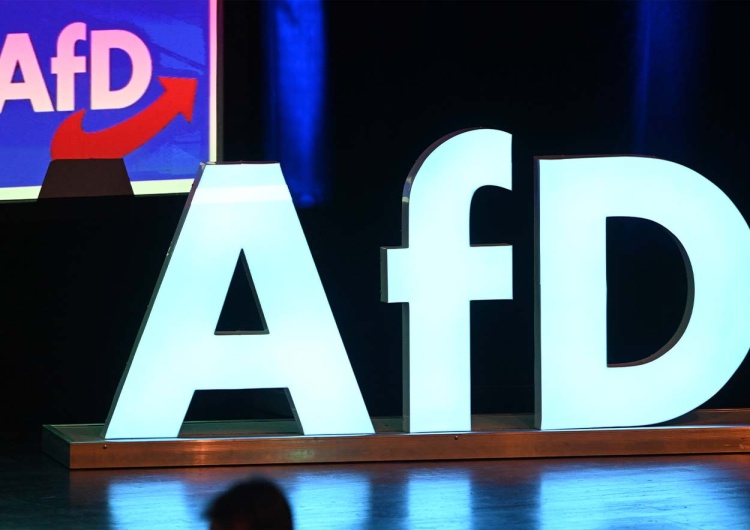 AfD Niemcy: AfD mocno w górę. Jest najnowszy sondaż