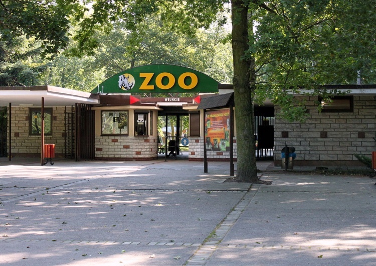 Nowe Zoo w Poznaniu 
