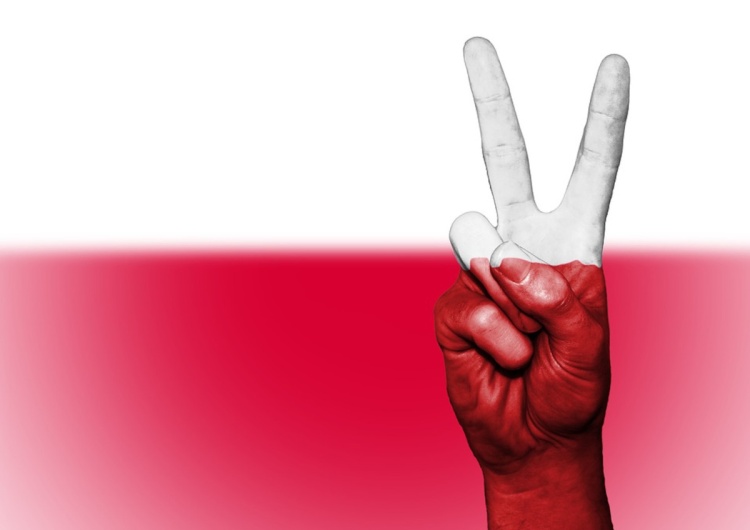 Flaga Polski, znak