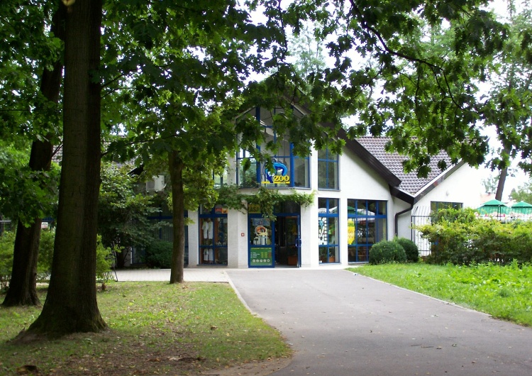 Główne wejście do zoo w Opolu 