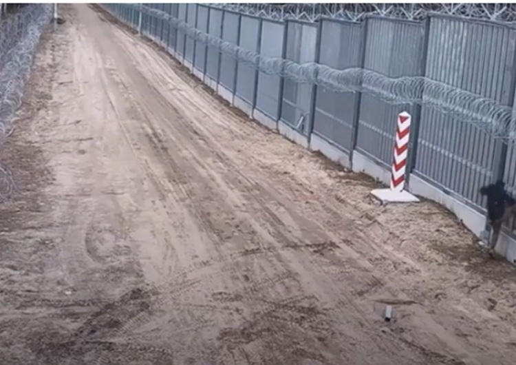 granica polsko-białoruska Ukrainiec chciał przejechać strażnika granicznego. Przewoził nielegalnych imigrantów