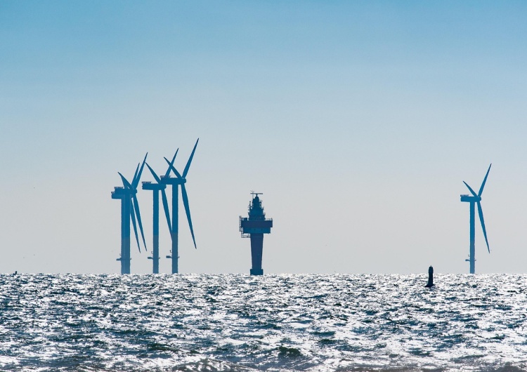 Morska farma wiatrowa. Zdjęcie poglądowe Holandia odkłada przetargi na morskie farmy wiatrowe