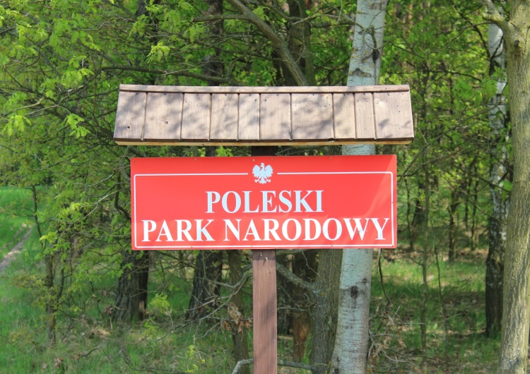 Poleski Park Narodowy
