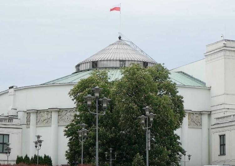 sejm Zapytano Polaków o przedterminowe wybory. Tak opowiedzieli