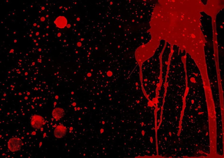 Krew. Ilustracja poglądowa Reakcja Polaków na zbrodnię migranta w Toruniu jest obserwowana. I ten egzamin oblaliśmy. Pozamiatane