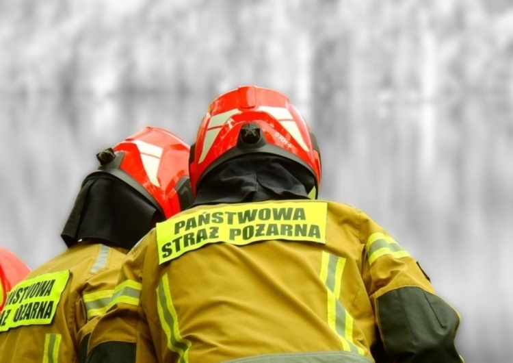 Straż pożarna, zdjęcie podglądowe Pożar w Chorwacji. Jest komunikat straży pożarnej