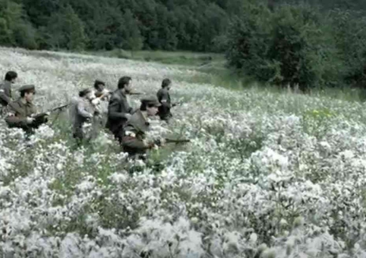 Kadr z filmu 