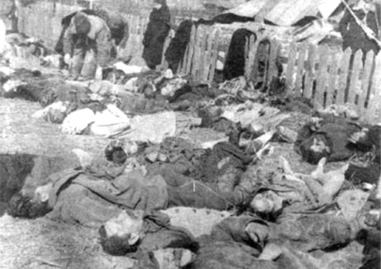 Polacy zamordowani przez Ukraińców w Lipnikach 11 lipca 1943 roku przyszli po nich Ukraińcy z widłami, siekierami i butelkami z benzyną